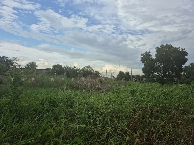 ที่ดินคลองหลวง ปทุมธานี, Pathum Thani, Khlong Hok, Khlong Luang, Pathum Thani, , 2,400 sqm, Land For Sale, by The Best Property  โย, 500505409 - DDproperty.com