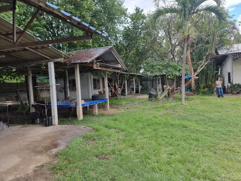 ขาย ที่ดิน สันป่าตอง เชียงใหม่ 1 ไร่ 1 งาน 63 ตร.ว. พร้อมสิ่งปลูกสร้าง (ID:281LS), เชียงใหม่, บ้านกลาง, สันป่าตอง, เชียงใหม่, 2,252 ตร.ม., ที่ดิน ขาย, โดย อรกัญญา สายวังกิจ, 500505450 - DDproperty.com