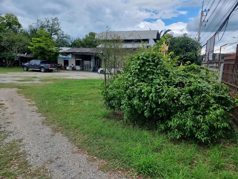 For Sale | Land in San Pa Tong, Chiang Mai – 1 Rai 1 Ngan 63 Sq.wah with Buildings (ID:281LS), Chiang Mai, Ban Klang, San Pa Tong, Chiang Mai, , 2,252 sqm, Land For Sale, by อรกัญญา สายวังกิจ, 500505450 - DDproperty.com