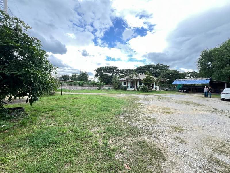 For Sale | Land in San Pa Tong, Chiang Mai – 1 Rai 1 Ngan 63 Sq.wah with Buildings (ID:281LS), Chiang Mai, Ban Klang, San Pa Tong, Chiang Mai, , 2,252 sqm, Land For Sale, by อรกัญญา สายวังกิจ, 500505450 - DDproperty.com