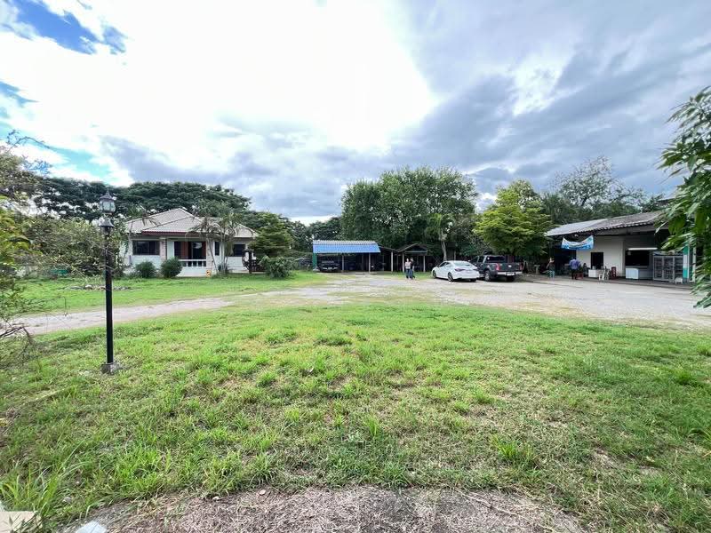For Sale | Land in San Pa Tong, Chiang Mai – 1 Rai 1 Ngan 63 Sq.wah with Buildings (ID:281LS), Chiang Mai, Ban Klang, San Pa Tong, Chiang Mai, , 2,252 sqm, Land For Sale, by อรกัญญา สายวังกิจ, 500505450 - DDproperty.com