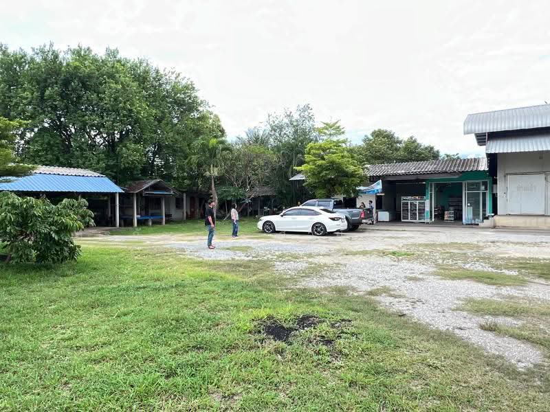 For Sale | Land in San Pa Tong, Chiang Mai – 1 Rai 1 Ngan 63 Sq.wah with Buildings (ID:281LS), Chiang Mai, Ban Klang, San Pa Tong, Chiang Mai, , 2,252 sqm, Land For Sale, by อรกัญญา สายวังกิจ, 500505450 - DDproperty.com