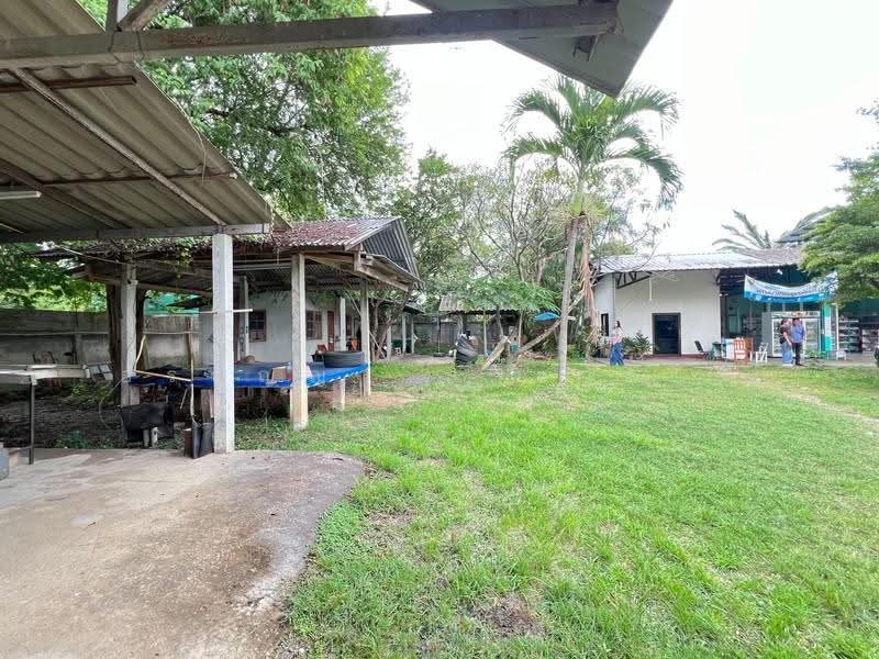For Sale | Land in San Pa Tong, Chiang Mai – 1 Rai 1 Ngan 63 Sq.wah with Buildings (ID:281LS), Chiang Mai, Ban Klang, San Pa Tong, Chiang Mai, , 2,252 sqm, Land For Sale, by อรกัญญา สายวังกิจ, 500505450 - DDproperty.com