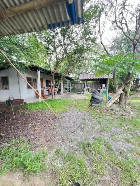 For Sale | Land in San Pa Tong, Chiang Mai – 1 Rai 1 Ngan 63 Sq.wah with Buildings (ID:281LS), Chiang Mai, Ban Klang, San Pa Tong, Chiang Mai, , 2,252 sqm, Land For Sale, by อรกัญญา สายวังกิจ, 500505450 - DDproperty.com