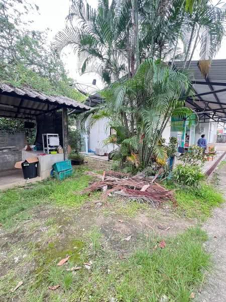 For Sale | Land in San Pa Tong, Chiang Mai – 1 Rai 1 Ngan 63 Sq.wah with Buildings (ID:281LS), Chiang Mai, Ban Klang, San Pa Tong, Chiang Mai, , 2,252 sqm, Land For Sale, by อรกัญญา สายวังกิจ, 500505450 - DDproperty.com