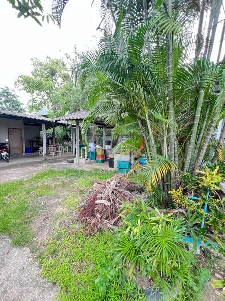 For Sale | Land in San Pa Tong, Chiang Mai – 1 Rai 1 Ngan 63 Sq.wah with Buildings (ID:281LS), Chiang Mai, Ban Klang, San Pa Tong, Chiang Mai, , 2,252 sqm, Land For Sale, by อรกัญญา สายวังกิจ, 500505450 - DDproperty.com
