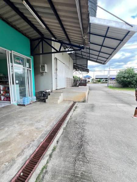 ขาย ที่ดิน สันป่าตอง เชียงใหม่ 1 ไร่ 1 งาน 63 ตร.ว. พร้อมสิ่งปลูกสร้าง (ID:281LS), เชียงใหม่, บ้านกลาง, สันป่าตอง, เชียงใหม่, 2,252 ตร.ม., ที่ดิน ขาย, โดย อรกัญญา สายวังกิจ, 500505450 - DDproperty.com