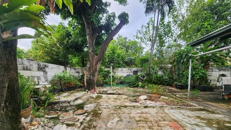 บ้านเดี่ยว อมรพันธ์ 9 ซอย 12, กรุงเทพ, ลาดพร้าว, กรุงเทพ, 170 ตร.ม., บ้านเดี่ยว ขาย, โดย Vimon Boodpha, 500505454 - DDproperty.com