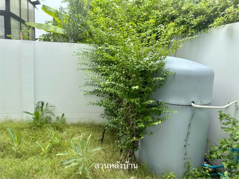 CHAIYAPRUEK อยุธยา, Phra Nakhon Si Ayutthaya, Khlong Suan Plu, Phra Nakhon Sri Ayutthaya, Phra Nakhon Si Ayutthaya, 3 Bedrooms, 280 sqm, Single Detached House For Sale, by Vimon Boodpha, 500505510 - DDproperty.com