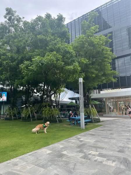 The Base Park West Sukhumvit 77 : เดอะ เบส พาร์ค เวสต์ สุขุมวิท 77, กรุงเทพ, 11 ซอยสุขุมวิท 77 ถนนสุขุมวิท, พระโขนงเหนือ, วัฒนา, กรุงเทพ, 30 ตร.ม., คอนโด ขาย, โดย HOME Real Estate Service, 500505518 - DDproperty.com