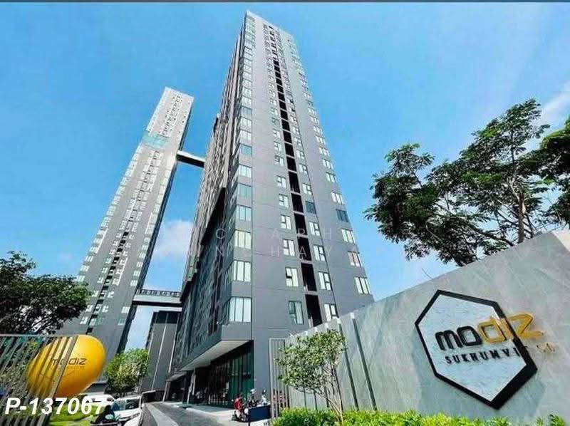 Modiz Sukhumvit 50 : โมดิซ สุขุมวิท 50, กรุงเทพ, ซอยสุขุมวิท 50, พระโขนง, คลองเตย, กรุงเทพ, 29 ตร.ม., คอนโด ให้เช่า, โดย Nichaphat Sakunchayapha, 500505549 - DDproperty.com