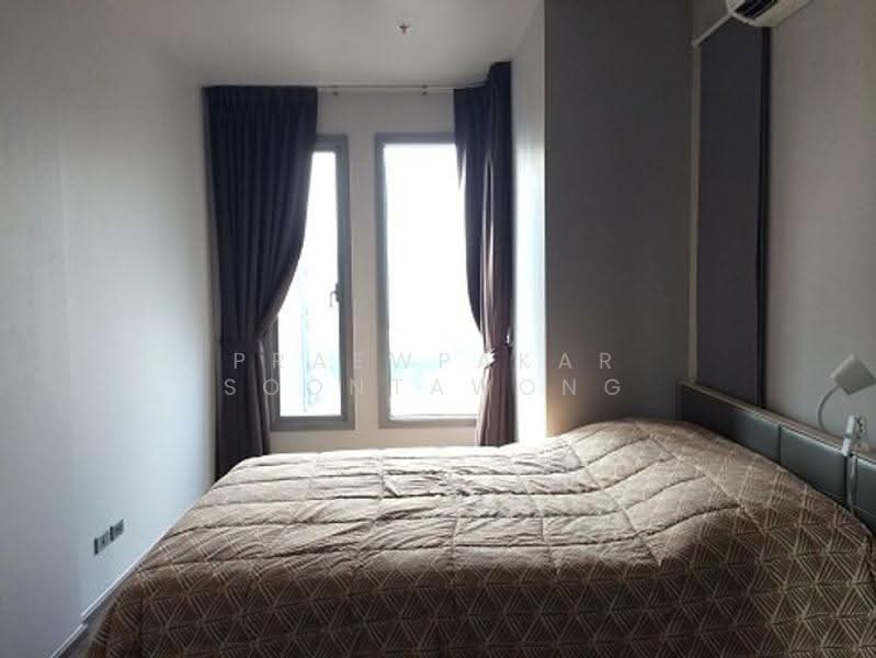 CEIL by Sansiri, Bangkok, 11 Soi Ekamai 12, Sukhumvit 63 Road, Khlong Tan Nua, Watthana, Bangkok, 1 Bedroom, 35 sqm, Condo For Rent, by Praewpakar Soontawong, 500505582 - DDproperty.com