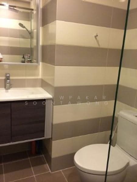 CEIL by Sansiri, Bangkok, 11 Soi Ekamai 12, Sukhumvit 63 Road, Khlong Tan Nua, Watthana, Bangkok, 1 Bedroom, 35 sqm, Condo For Rent, by Praewpakar Soontawong, 500505582 - DDproperty.com