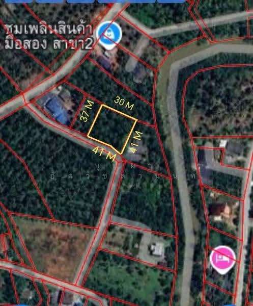 บางใบไม้ , เมืองสุราษฎร์ธานี , สุราษฎร์ธานี, Surat Thani, Bang Bai Mai, Muang Surat Thani, Surat Thani, , 1,600 sqm, Land For Sale, by บุปผา อัศวชลานนท์, 500505590 - DDproperty.com