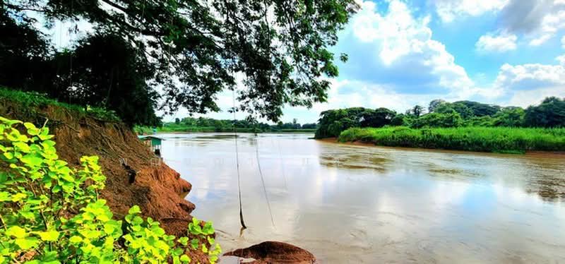 ไม่พบโครงการ, Maha Sarakham, -, Talat Pattana, Muang Maha Sarakham, Maha Sarakham, , 5,800 sqm, Land For Sale, by Phanitchaya Yossala, 500505614 - DDproperty.com