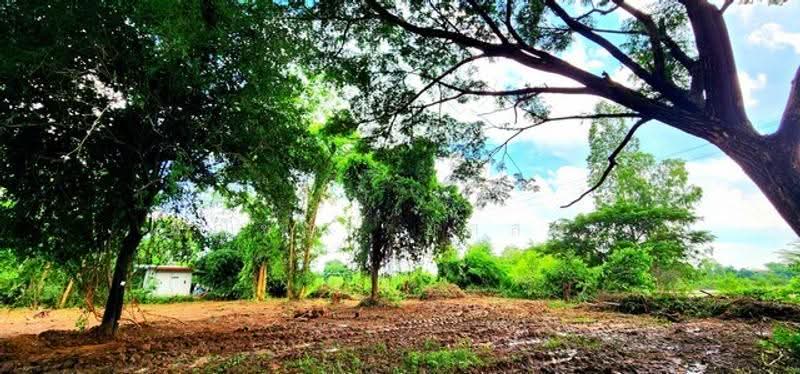ไม่พบโครงการ, มหาสารคาม, -, ลาดพัฒนา, เมืองมหาสารคาม, มหาสารคาม, 5,800 ตร.ม., Land ขาย, โดย Phanitchaya Yossala, 500505614 - DDproperty.com