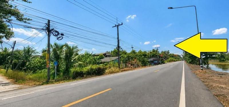 ไม่พบโครงการ, ปทุมธานี, , หนองสามวัง, หนองเสือ, ปทุมธานี, 400 ตร.ม., ที่ดิน ขาย, โดย พณิชญา ยศสละ, 500505631 - DDproperty.com