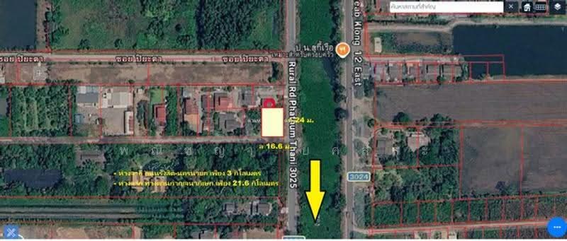 ไม่พบโครงการ, ปทุมธานี, , หนองสามวัง, หนองเสือ, ปทุมธานี, 400 ตร.ม., ที่ดิน ขาย, โดย พณิชญา ยศสละ, 500505631 - DDproperty.com