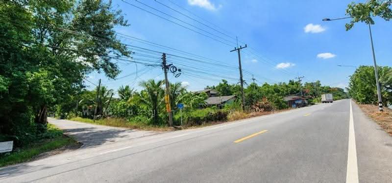 ไม่พบโครงการ, Pathum Thani, , Nong Sam Wang, Nong Sua, Pathum Thani, , 400 sqm, Land For Sale, by Phanitchaya Yossala, 500505631 - DDproperty.com