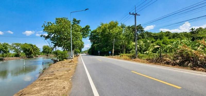 ไม่พบโครงการ, ปทุมธานี, , หนองสามวัง, หนองเสือ, ปทุมธานี, 400 ตร.ม., ที่ดิน ขาย, โดย พณิชญา ยศสละ, 500505631 - DDproperty.com