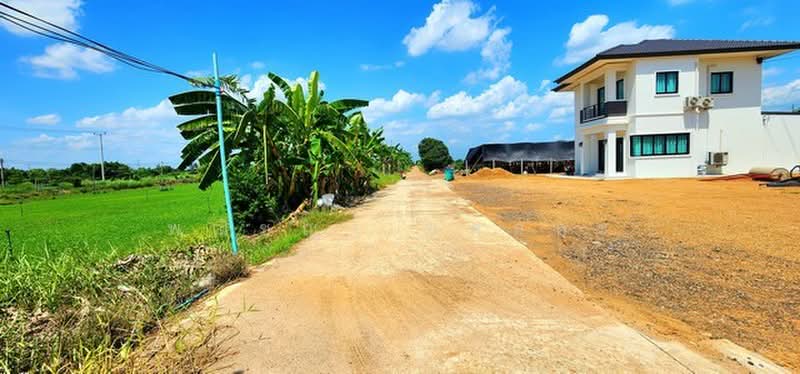 ไม่พบโครงการ, ปทุมธานี, , หนองสามวัง, หนองเสือ, ปทุมธานี, 1,600 ตร.ม., ที่ดิน ขาย, โดย พณิชญา ยศสละ, 500505666 - DDproperty.com