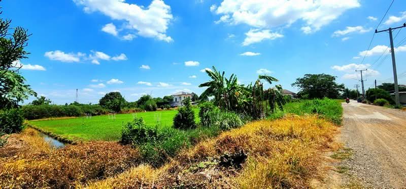 ไม่พบโครงการ, ปทุมธานี, , หนองสามวัง, หนองเสือ, ปทุมธานี, 1,600 ตร.ม., ที่ดิน ขาย, โดย พณิชญา ยศสละ, 500505666 - DDproperty.com