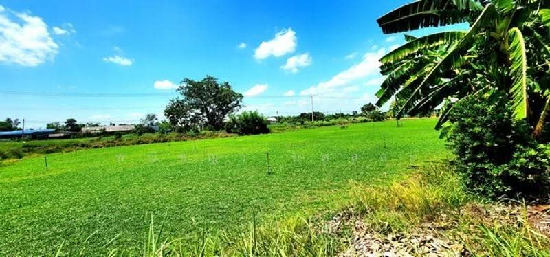 ไม่พบโครงการ, ปทุมธานี, , หนองสามวัง, หนองเสือ, ปทุมธานี, 1,600 ตร.ม., ที่ดิน ขาย, โดย พณิชญา ยศสละ, 500505666 - DDproperty.com