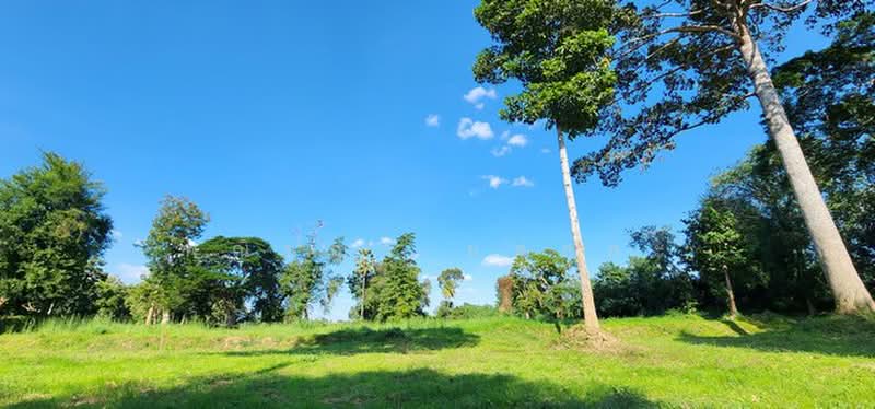 ไม่พบโครงการ, กาญจนบุรี, , เกาะสำโรง, เมืองกาญจนบุรี, กาญจนบุรี, 7,416 ตร.ม., ที่ดิน ขาย, โดย พณิชญา ยศสละ, 500505688 - DDproperty.com
