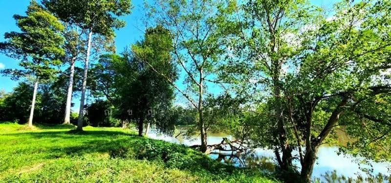 ไม่พบโครงการ, กาญจนบุรี, , เกาะสำโรง, เมืองกาญจนบุรี, กาญจนบุรี, 7,416 ตร.ม., ที่ดิน ขาย, โดย พณิชญา ยศสละ, 500505688 - DDproperty.com