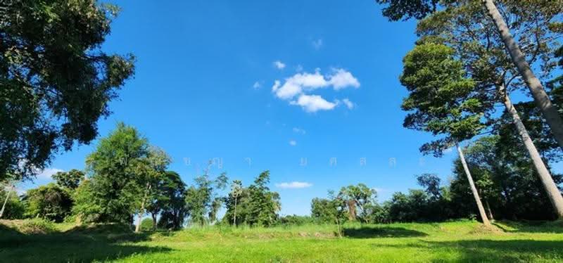 ไม่พบโครงการ, Kanchanaburi, , Ko Samrong, Muang Kanchanaburi, Kanchanaburi, , 7,416 sqm, Land For Sale, by Phanitchaya Yossala, 500505688 - DDproperty.com