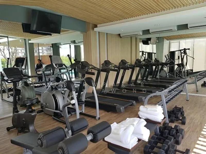 Kensington Kaset-Campus, Bangkok, Soi Phahon Yothin 49/1, Lat Yao, Chatuchak, Bangkok, 2 Bedrooms, 31 sqm, Condo For Rent, by Praewpakar Soontawong, 500505698 - DDproperty.com