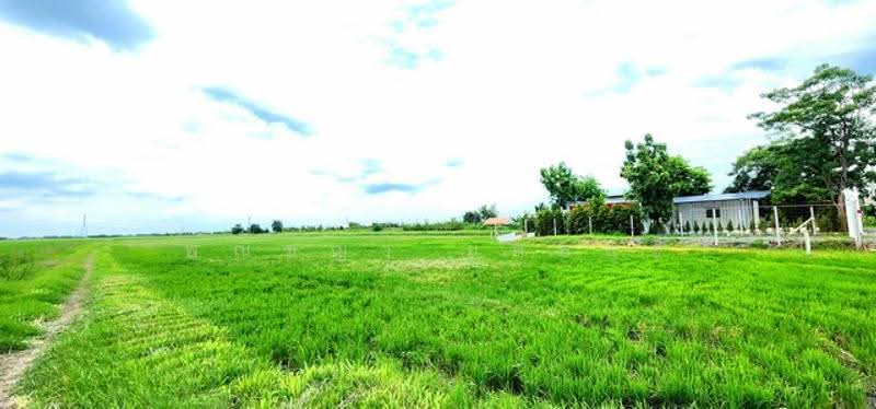 ไม่พบโครงการ, Pathum Thani, , Bung Khohai, Lam Luk Ka, Pathum Thani, , 67,664 sqm, Land For Sale, by Phanitchaya Yossala, 500505703 - DDproperty.com