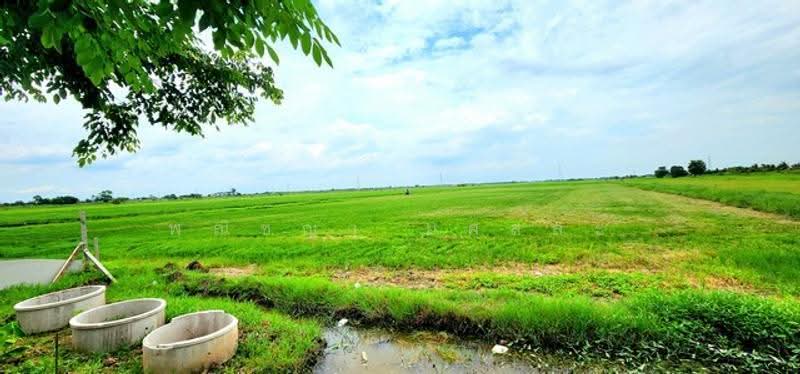 ไม่พบโครงการ, Pathum Thani, , Bung Khohai, Lam Luk Ka, Pathum Thani, , 67,664 sqm, Land For Sale, by Phanitchaya Yossala, 500505703 - DDproperty.com