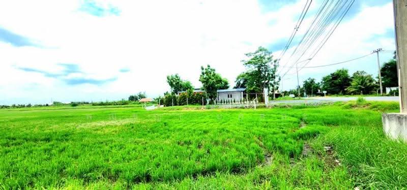 ไม่พบโครงการ, Pathum Thani, , Bung Khohai, Lam Luk Ka, Pathum Thani, , 67,664 sqm, Land For Sale, by Phanitchaya Yossala, 500505703 - DDproperty.com