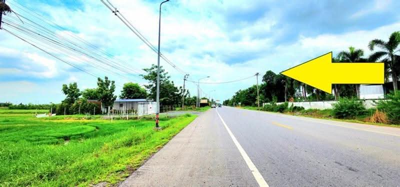 ไม่พบโครงการ, Pathum Thani, , Bung Khohai, Lam Luk Ka, Pathum Thani, , 67,664 sqm, Land For Sale, by Phanitchaya Yossala, 500505703 - DDproperty.com