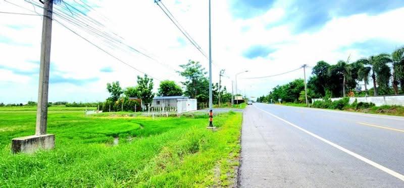 ไม่พบโครงการ, Pathum Thani, , Bung Khohai, Lam Luk Ka, Pathum Thani, , 67,664 sqm, Land For Sale, by Phanitchaya Yossala, 500505703 - DDproperty.com