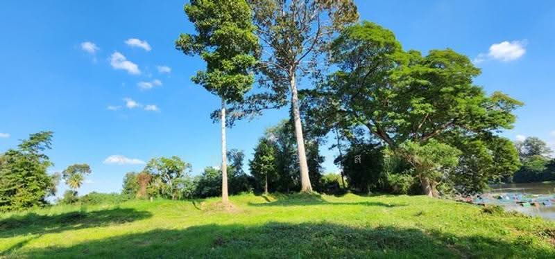 ไม่พบโครงการ, กาญจนบุรี, , เกาะสำโรง, เมืองกาญจนบุรี, กาญจนบุรี, 14,832 ตร.ม., ที่ดิน ขาย, โดย พณิชญา ยศสละ, 500505771 - DDproperty.com