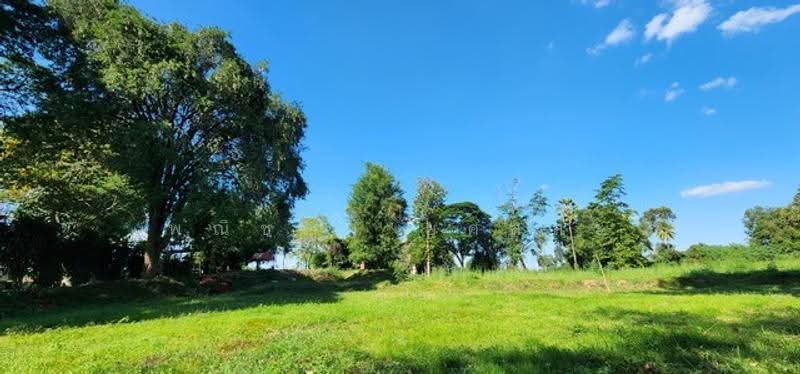 ไม่พบโครงการ, กาญจนบุรี, , เกาะสำโรง, เมืองกาญจนบุรี, กาญจนบุรี, 14,832 ตร.ม., ที่ดิน ขาย, โดย พณิชญา ยศสละ, 500505771 - DDproperty.com