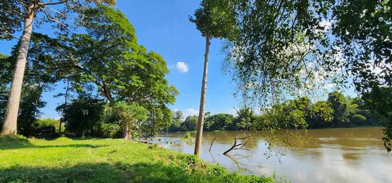 ไม่พบโครงการ, กาญจนบุรี, , เกาะสำโรง, เมืองกาญจนบุรี, กาญจนบุรี, 14,832 ตร.ม., ที่ดิน ขาย, โดย พณิชญา ยศสละ, 500505771 - DDproperty.com