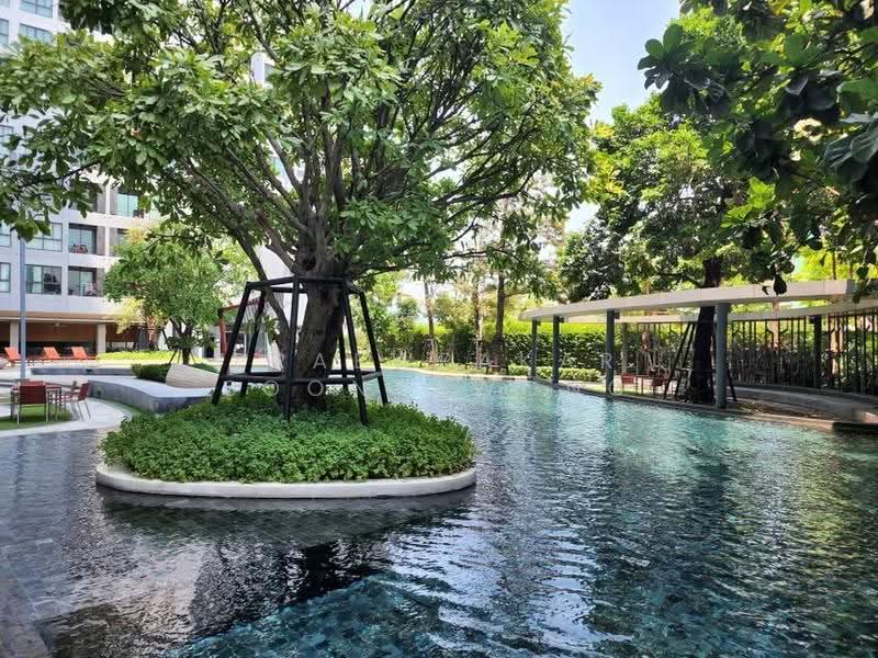 IDEO O2 Bangna, Bangkok, 195 Sanphawut Road, Bang Na Tai, Bang Na, Bangkok, 1 Bedroom, 30 sqm, Condo For Rent, by Praewpakar Soontawong, 500505799 - DDproperty.com