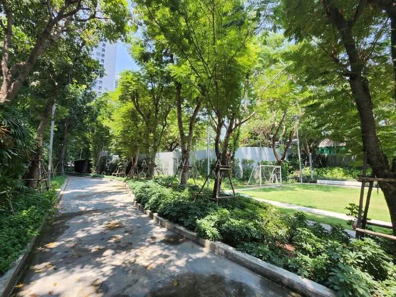 IDEO O2 Bangna, Bangkok, 195 Sanphawut Road, Bang Na Tai, Bang Na, Bangkok, 1 Bedroom, 30 sqm, Condo For Rent, by Praewpakar Soontawong, 500505799 - DDproperty.com