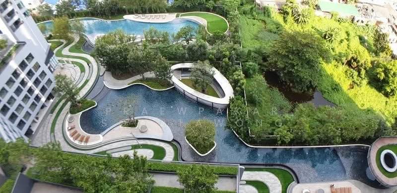 IDEO O2 บางนา, กรุงเทพ, 195 ถนนสรรพาวุธ, บางนาใต้, บางนา, กรุงเทพ, 30 ตร.ม., คอนโด ให้เช่า, โดย Praewpakar Soontawong, 500505799 - DDproperty.com
