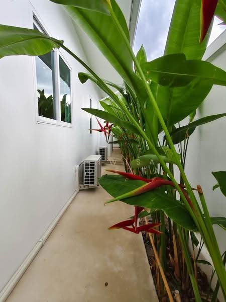 Aria Hua Hin 2 : อาเรีย หัวหิน2, ประจวบคีรีขันธ์, ทับใต้, หัวหิน, ประจวบคีรีขันธ์, 180 ตร.ม., บ้านเดี่ยว ขาย, โดย Wanwisa Scopetta, 500505802 - DDproperty.com