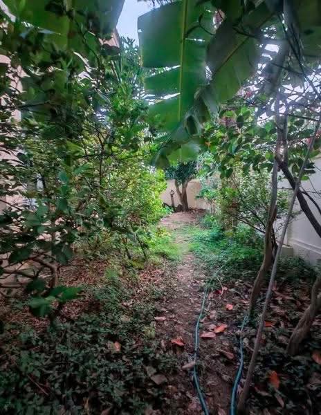 Passorn 7 Rattanathibet : ภัสสร 7 รัตนาธิเบศร์, นนทบุรี, ถนนบางกรวย - ไทรน้อย, บางรักใหญ่, บางบัวทอง, นนทบุรี, 250 ตร.ม., บ้านเดี่ยว ขาย, โดย HOME Real Estate Service, 500505858 - DDproperty.com