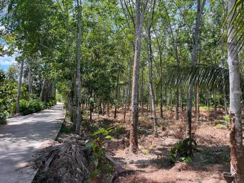 ที่ดินพระพรหม นครศรีธรรมราช, Nakhon Si Thammarat, Na Phru, Phra Phrom, Nakhon Si Thammarat, , 12,254 sqm, Land For Sale, by The Best Property เบล, 500505943 - DDproperty.com