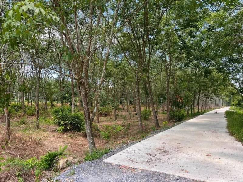 ที่ดินพระพรหม นครศรีธรรมราช, Nakhon Si Thammarat, Na Phru, Phra Phrom, Nakhon Si Thammarat, , 12,254 sqm, Land For Sale, by The Best Property เบล, 500505943 - DDproperty.com