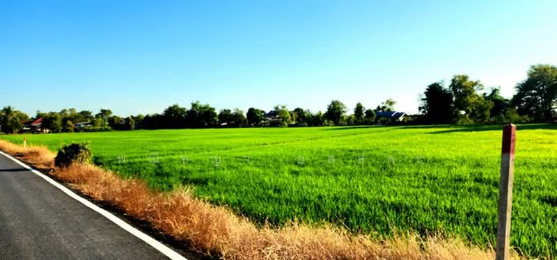 ไม่พบโครงการ, Nakhon Nayok, , Ongkharak, Nakhon Nayok, , 2,952 sqm, Land For Sale, by Phanitchaya Yossala, 500506094 - DDproperty.com