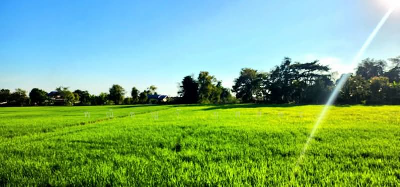 ไม่พบโครงการ, Nakhon Nayok, , Ongkharak, Nakhon Nayok, , 2,952 sqm, Land For Sale, by Phanitchaya Yossala, 500506094 - DDproperty.com