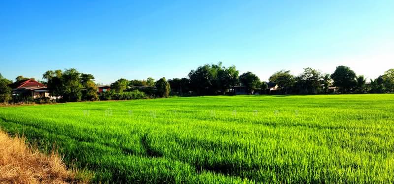 ไม่พบโครงการ, Nakhon Nayok, , Ongkharak, Nakhon Nayok, , 2,952 sqm, Land For Sale, by Phanitchaya Yossala, 500506094 - DDproperty.com