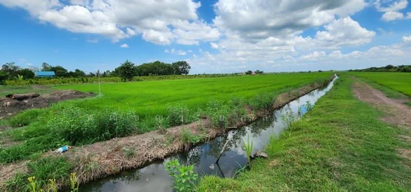 ไม่พบโครงการ, Nakhon Nayok, , Srisa Krabu, Ongkharak, Nakhon Nayok, , 35,932 sqm, Land For Sale, by Phanitchaya Yossala, 500506100 - DDproperty.com